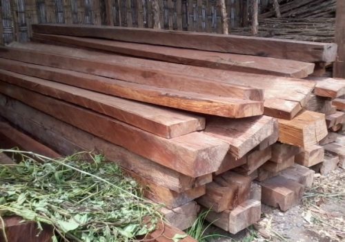 harga kayu meranti