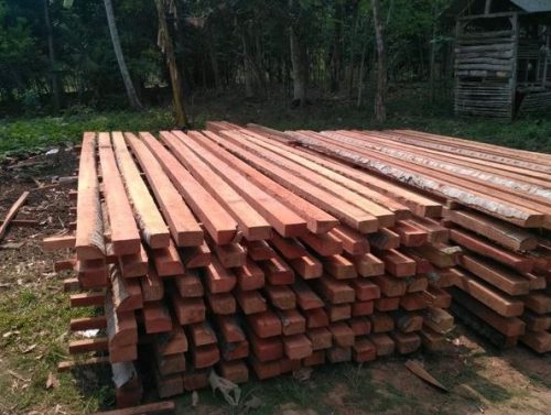 Harga Kayu Glugu Harga Kayu Glugu
